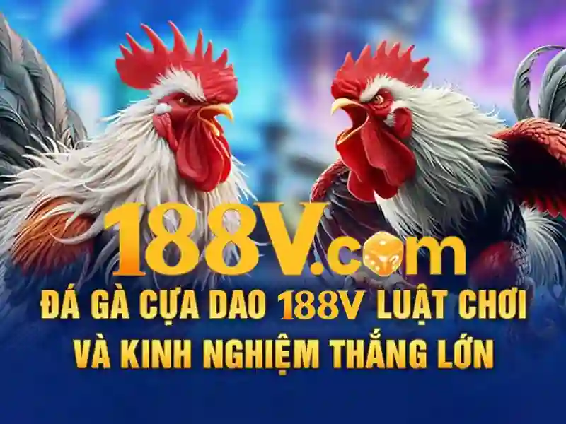 188v vom – Trải nghiệm và đánh giá chi tiết 188v vom Giao diện nhà cái hoàn hảo