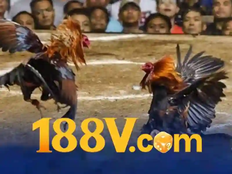 Giao diện nhà cái hoàn hảo