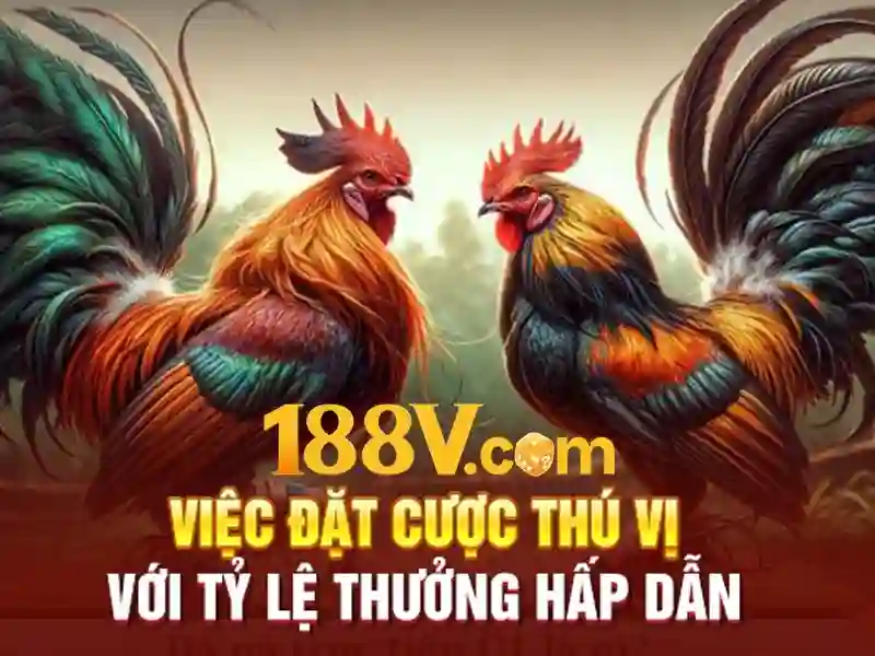 Trải nghiệm người dùng và phản hồi từ cộng đồng