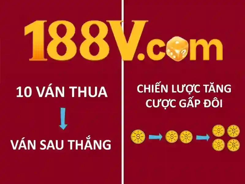 Trải nghiệm người dùng và phản hồi cộng đồng