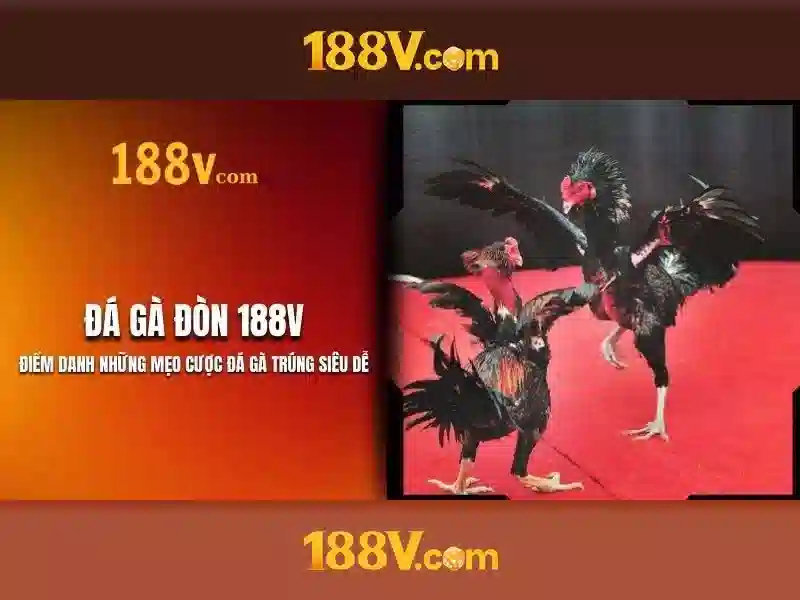 Giao diện nhà cái hoàn hảo