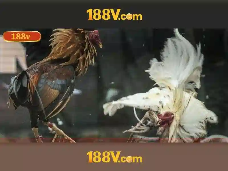 188v là gì?