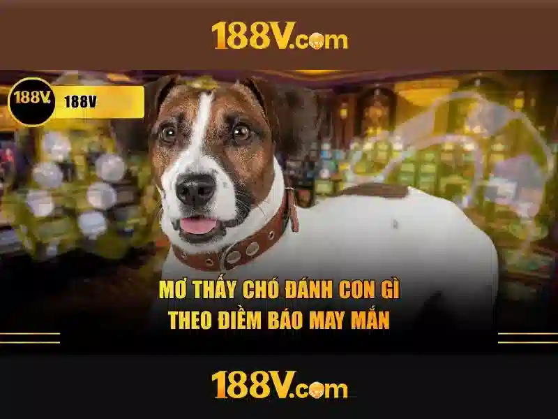 Khám phá 188V