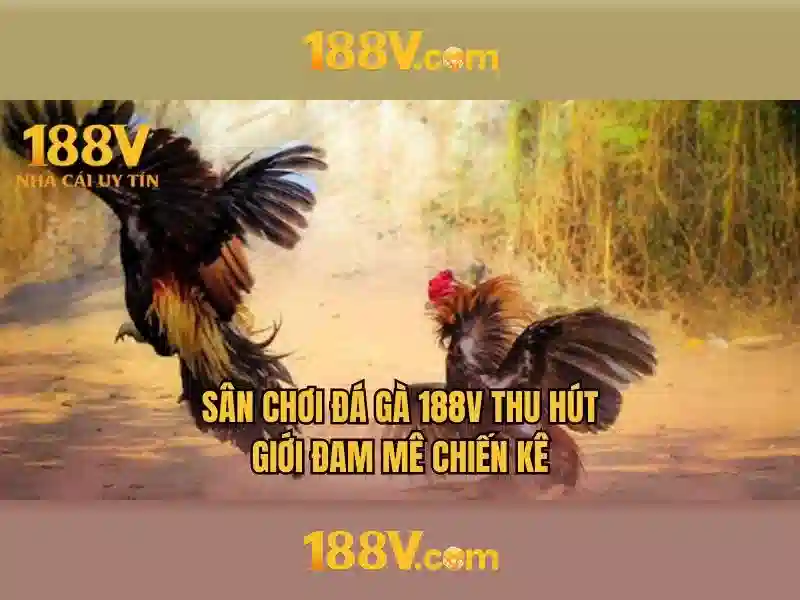 Nguồn gốc và sứ mệnh của 188v,com