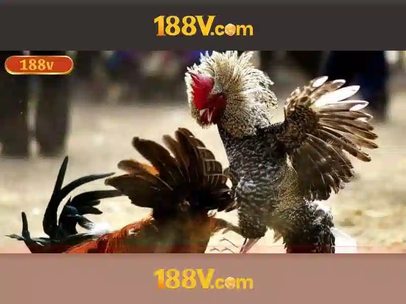 Các sản phẩm và dịch vụ cốt lõi của 188v còn