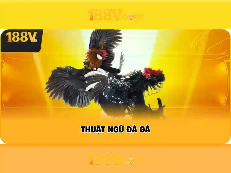 Giao diện nhà cái hoàn hảo