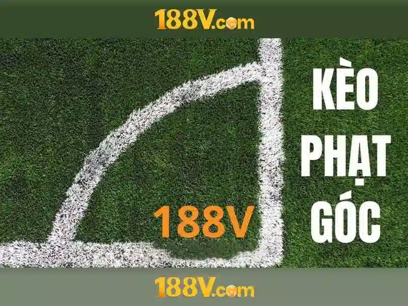 Trải nghiệm người dùng và phản hồi cộng đồng