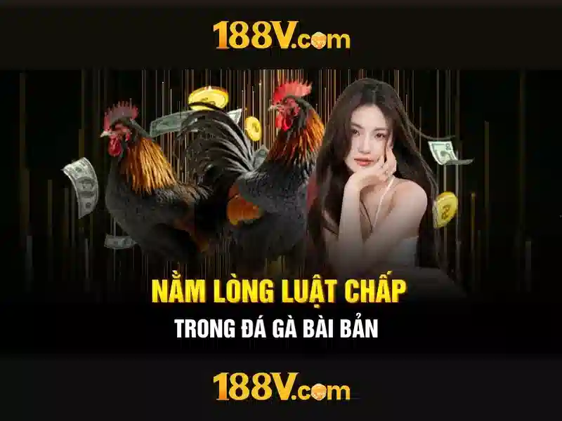 'Sản phẩm và dịch vụ cốt lõi: Ứng dụng thực tế 188v con'