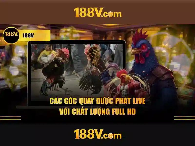 Sản phẩm và dịch vụ chính của 188v com tại app