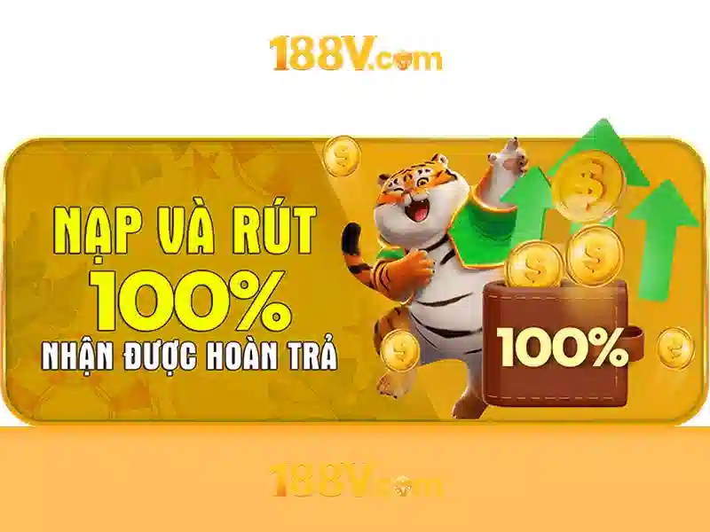 Trải nghiệm và di sản