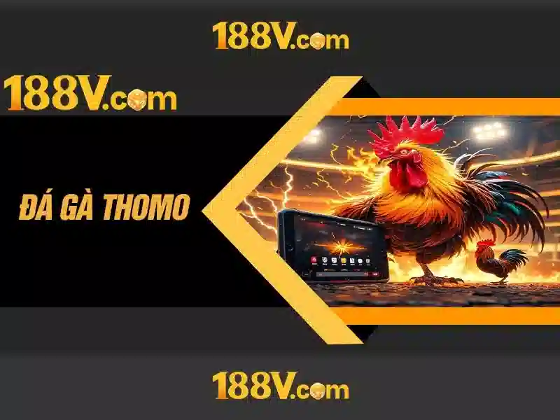 Các luồng chính của visa 188