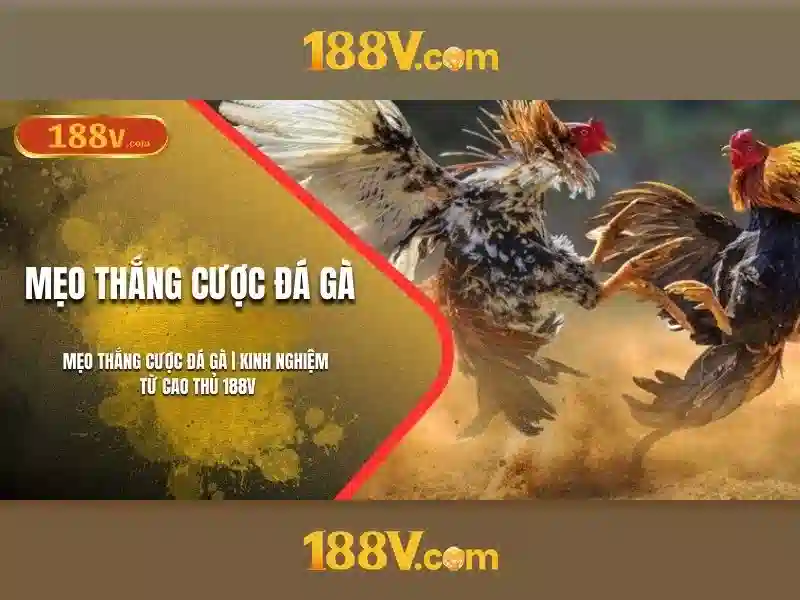Nguồn gốc và ý nghĩa
