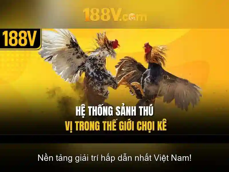 Kết luận và tương lai