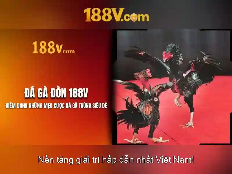 Tương lai của 188v và những thách thức