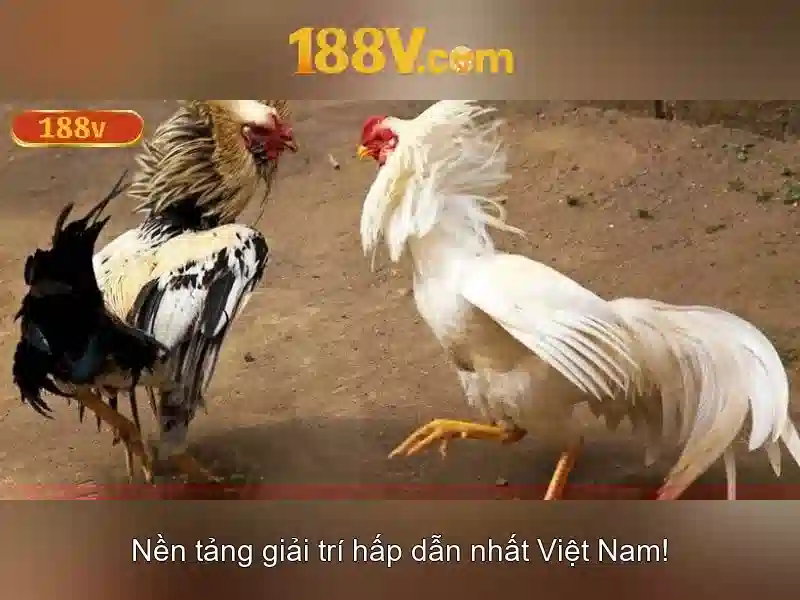 Khái niệm và nguồn gốc của 188v