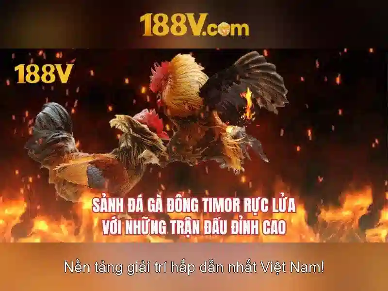 Nguồn gốc và ý nghĩa