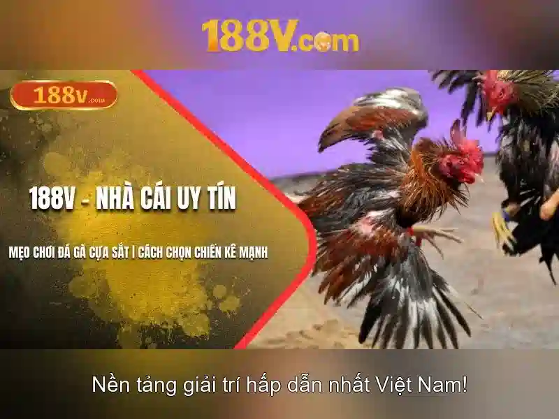 Đặc điểm và ứng dụng