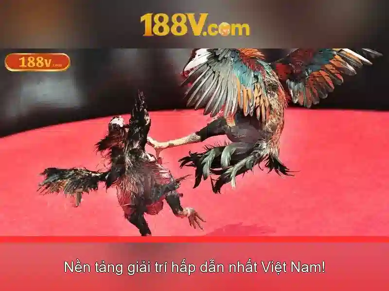 Những lớp thực tại và cách chúng giao thoa