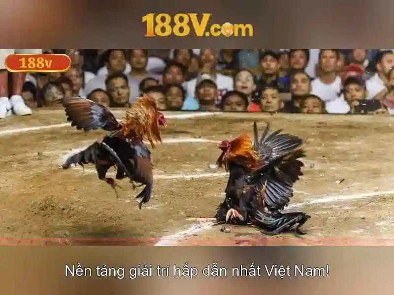 Giao diện nhà cái hoàn hảo