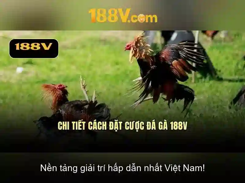 188v: Khái niệm, đặc điểm và ứng dụng Giao diện nhà cái hoàn hảo