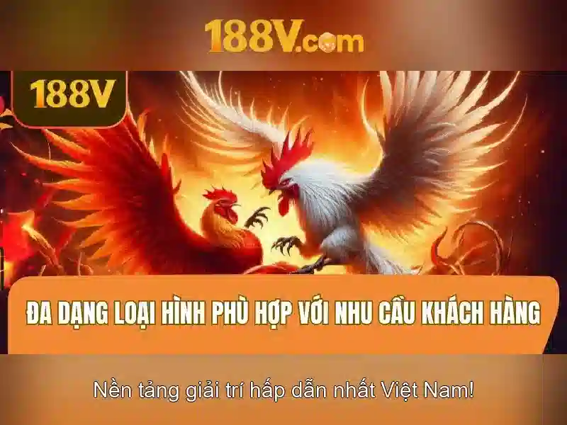 Điểm đặc trưng của 188v