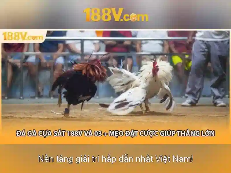 Hiệu ứng của 188V đối với mạch và con người
