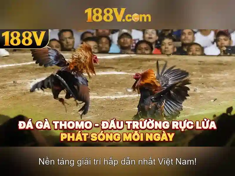 Giao diện nhà cái hoàn hảo