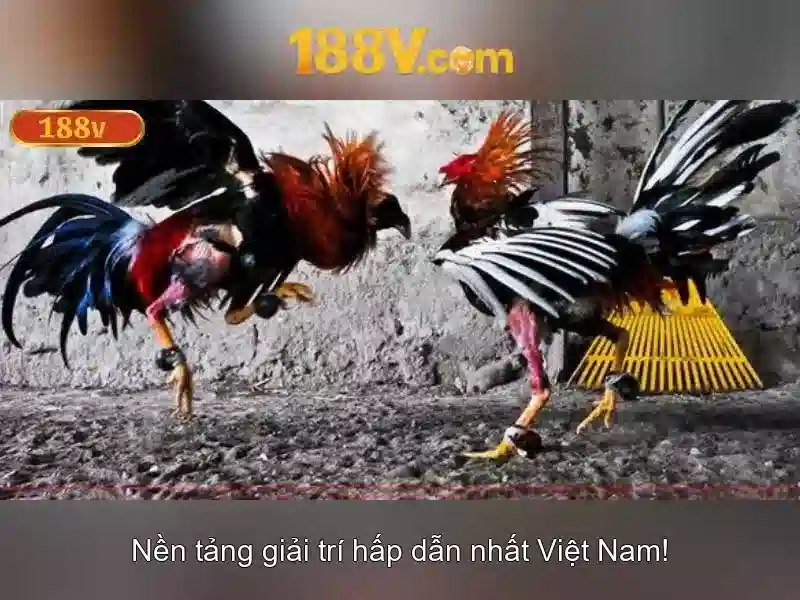 Ứng dụng thực tế và thách thức