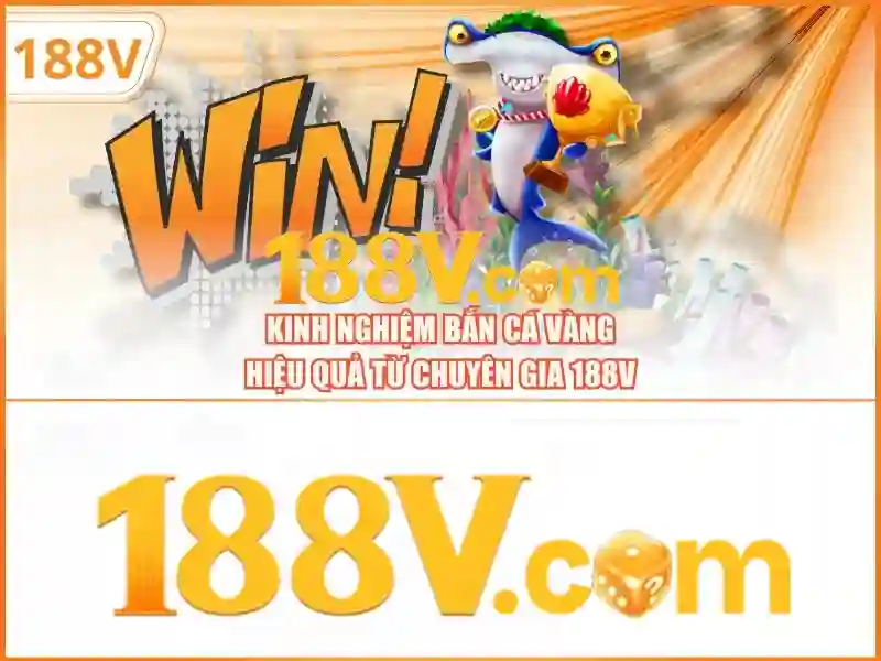 Giao diện nhà cái hoàn hảo