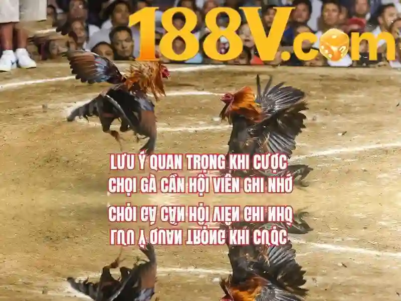 188v rút tiền – Trải nghiệm và đánh giá uy tín thị trường Giao diện nhà cái hoàn hảo