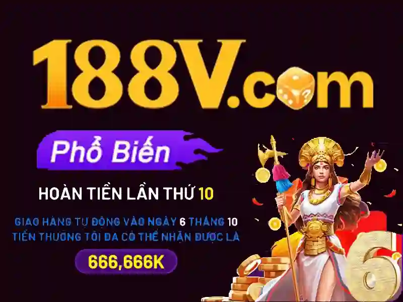 phản hồi người dùng và cộng đồng</b></h2>